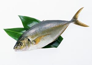 博多名物の美味しいもつ鍋を楽しめるお店